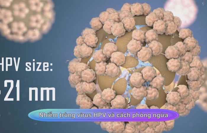 Sống khỏe 360 - Nhiễm trùng virut HPV và cách phòng ngừa  (03-01-2021)
